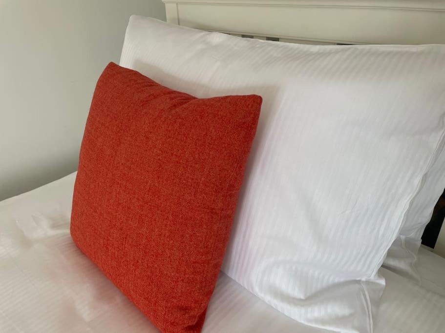 4@no.4. A Cosy Spot For 4 And One Furry Friend *